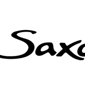 Citröen Saxo stickers dekaler 2st
