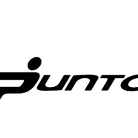 Fiat Punto dekaler dekal till bilen 2st